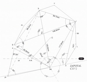 Рис. 1. Диаграмма Клаатща с измерениями, полученными по 3D модели Эль-Сапоталь, Оссуари 1 (Череп 15), левая боковая часть в норме (зарисовка J. Gómez Valdés).