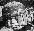 Гигантская каменная голова из Ла-Венты