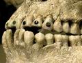 Инкрустация зубов. Месоамерика. (Фото INAH) ||| 34Kb