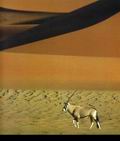 Неутомимые западные ветры разрушают красноватые подстилающие породы Намиба, превращая их в ползущий песок, который затем наметается в дюны. Сернобык направляется к гравиевым равнинам и суровым северным горам. Там редкие грозы дают передышку от палящего зноя и пополняют русла подземных речушек. В эти короткие периоды пышно распускается растительность