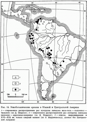 Рис. 14. Этноботанические ареалы в Южной и Центральной Америке