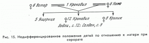 Рис. 15. Недифференцированное положение детей по отношению к матери при сорорате