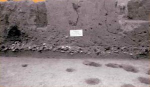 Стратиграфический разрез на памятнике Риал-Альто. Хорошо просматривается слой из раковин, ниже которого находится древнейший горизонт обитания на памятнике. Фото из архива X. Маркоса.