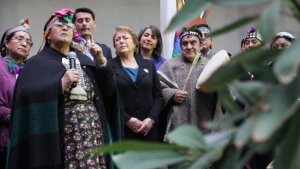 Президент Чили Мишель Бачелет будет поощрять возврат земель индейцам и их участие в парламенте страны. Фото - UPI