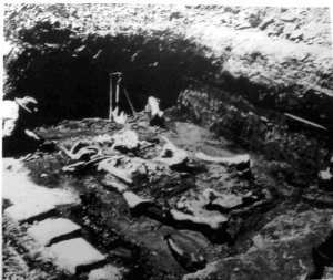 24. Раскопки Мамонта 1 в Санта-Исабель-Истапан, долина Мехико, 1952 г.