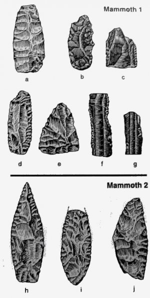 25. Каменные инструменты, найденные с Мамонтами 1 и 2 в Санта-Исабель-Истапан.