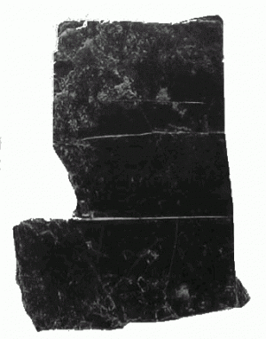 98. Зачищенный кусок черной слюды, Сан-Хосе-Моготе. Длина 7 см.