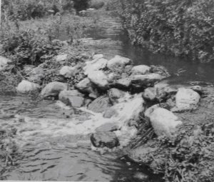 164. Простые дамбы из веток и валунов до сих пор используются, чтобы отводить воду ручьев для ирригации в предгорьях Оахаки.