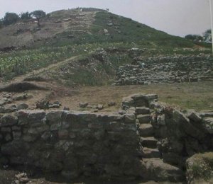 VIII Структуры 1 и 2 в Сан-Хосе-Моготе, ряд террасированных платформ и лестниц для общественных зданий фазы Сан-Хосе (1150 – 850 гг. до н. э.).