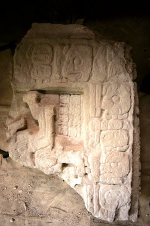12.	Фрагмент стели 43 з Ель-Перу зі згадкою цариці Іш-Ікоом. Фото Ф. Кастанеди