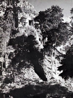 Храмы заброшены, города обезлюдены. Храм I, Тикаль (Гватемала). Фотография 1957 года, Penn Museum.