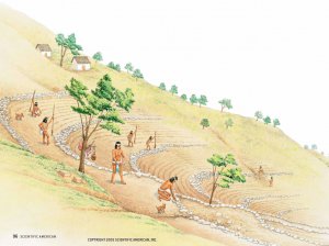 Интенсивное сельское хозяйство развивалось в связи с ростом ацтекского населения в XV веке. Крестьяне строили два вида каменных террасных систем. Террасы на склонах предотвращали эрозию почв и позволяли использовать гористую местность центральной Мексики по максимуму.
