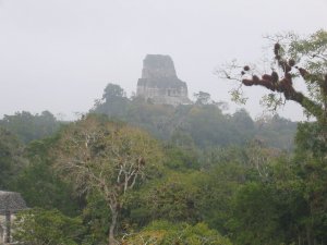 «Храм IV» в Тикале