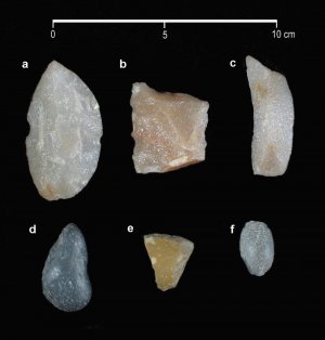 Примеры каменных инструментов, обнаруженных в слое с вымершими животными. Фото: Leipus and Landini