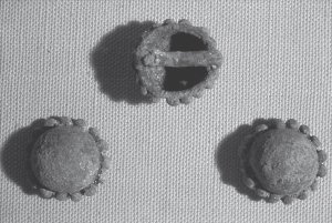 Рис. 6.2. Три из шести медных украшений с куполом, найденных в захоронении №10-4/28 раннего постклассического периода. Эти украшения идентичны тем, что были найдены в Гробнице 7 Монте-Альбана (Оахака). Диам. 1,9-2,0 см.