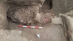 В Асперо (Перу) найдено 4,5-тысячелетнее захоронение женщины высокого статуса. Рис.: агентство Andina