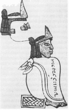 Рис.1. Верховный правитель мешика Мотекусома Шокойцин на рисунке в Кодексе Мендосы, f. 15v (1540 г.)