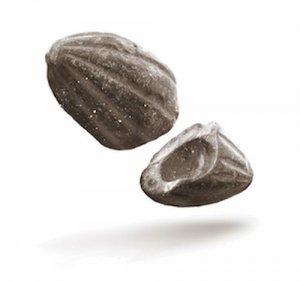 Древнейшее изображение плода какао. Ок. 3300 до н.э. Фото: Francisco Valdez / IRD France via TO’aK Chocolate
