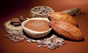 Какао. Современные исследования
