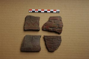 Древнюю керамику и останки из Эквадора будут изучать учёные ДВФУ и Стокгольмского университета. Фото: ДВФУ