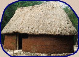 Типичный дом майя
