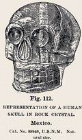 В 1886 году Смитсоновский институт приобрёл хрустальный череп, который мог бы быть доколумбовой бусинкой, заново выгравированной в 19 веке. На этом листе из каталога предмет был изображён близко к натуральной величине и с вертикально просверленной дыркой по центру. (Paula Fleming Collection) ||| 56Kb
