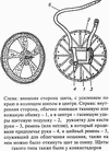 щит - внутренняя и внешняя стороны