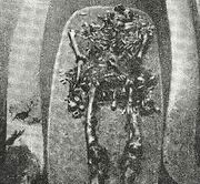 Саркофаг с останками вождя из Храма Надписей. Паленке.