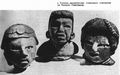 Головы архаических глиняных статуэток из Тикаля. Гватемала. I тыся­челетие до н. э. ||| 55Kb