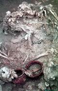 Разрозненные кости 32 человек, принесенных в жертву в Куэльо 2400 лет назад, и скелет юноши, который умер от удара острого кинжала, направленного прямо в лоб. Острое оружие, сделанное из кремнистого сланца, было найдено рядом со скелетом. Диаметр его острия в точности совпадает с отверстием в черепе. Такое же оружие (внизу) лежало в соседнем могильнике. Жертвами, скорее всего, были попавшие в плен воины ив соседней деревни