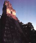 Лучи закатного солнца освещают Храм I, девять террас которого (9 — магическое число у майя) увенчаны кровельным гребнем