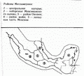 Районы Месоамерики ||| 19,1Kb