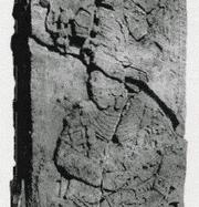 Стела 54, 731 г. н.э. Изображение одной из жён Йукноом-Ток'-К'авииля. Её имя не известно