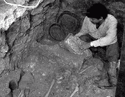 А. Демарест рассматривает останки правителя и подношения, найденные в гробнице внутри «Сооружения L5-1»