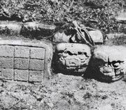 Фотография Теоберта Малера (немецкого/австрийского фотографа и исследователя). На фотографии видны 4 блока, которые ранее являлись частью «Иероглифической лестницы 1» из Наранхо, а также 3 каменных черепа (ныне пропавших).