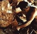 Руководитель проекта Альфонсо Моралес Кливленд осторожно раскапывает штуковый рельеф панели (фотография PGC)
