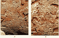 Портреты К’ан-Хой-Читама I (a) и Акаль-Мо’-Наба I (b) на саркофаге Пакаля (прорисовки и фотографии Робертсон 1983)