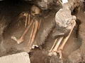 Недавно возле исторического центра Чолулы, штат Пуэбла, были найдены 17 доиспанских скелетов, которые, возможно, принадлежат представителям древней культуры Ольмека-Шикаланка ||| 19Kb
