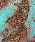 Псевдоцветное изображение с высоким разрешением, сделанное коммерческим околоземным спутником IKONOS, на котором показаны гватемальские «бахо» или низменности, которые в дождливые сезоны часто частично затапливаются. Желтоватые пятна определяют наличие изменения цвета растительности, что позволяет обнаружить древние строения майя. REUTERS/NASA ||| 57Kb