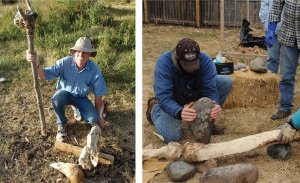 Демонстрация вероятного способа раскалывания костей. Фото: Kate Johnson, San Diego Natural History Museum