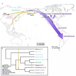 Новые генетические данные подтверждают версию о единой волне миграции палеоиндейцев