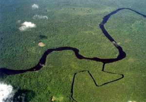 Река Ориноко и её притоки в Венесуэле