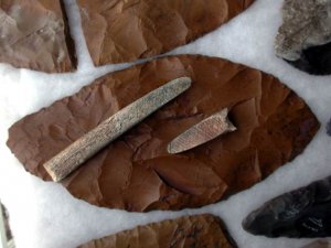 Люди культуры Кловис использовали характерные каменные наконечники и инструменты из костей. Фото - Robert L. Walker / nature.com