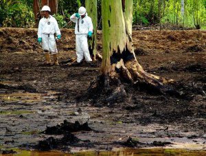 В Аргентине суд отменил арест активов Chevron по делу о загрязнении джунглей Амазонки в Эквадоре