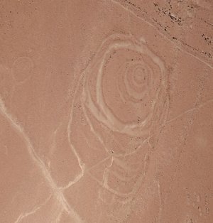Один из сложных круговых геоглифов, обнаруженный недалеко от Килькапампы. Фото: Justin Jennings