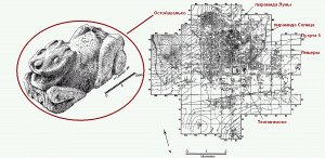 Рисунок найденного в Остойауальке кролика + карта Теотиуакана (Рене Миллон) с отмеченными местами, где были найдены кости кроликов и зайцев