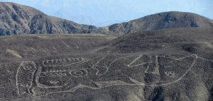Исследование: на недавно обнаруженном на плато Наска геоглифе изображена косатка. Фото: Johny Isla/Ministerio de Cultura del Perú/ Deutsches Archäologisches Institut