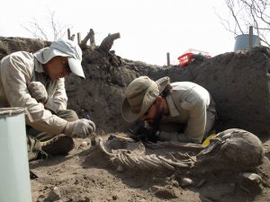 Российские археологи нашли в Эквадоре два погребения и зафиксировали переход от докерамической культуры к керамической. На фотографии Андрей Табарев с коллегой. Фото: НГУ