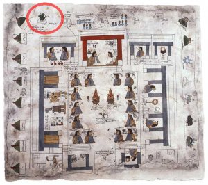 Карта Mapa Quinatzin, лист 2. Дворец в Тескоко, где правитель Несауалькойотль сидит напротив своего сына Несауальпилли. Вверху слева в круге выделен топоним Толлан