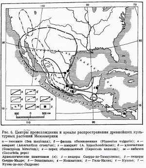 Центры происхождения и ареалы распространения древнейших культурных растений Мезоамерики